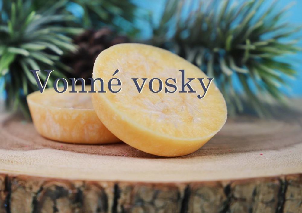 vonne vosky_astron