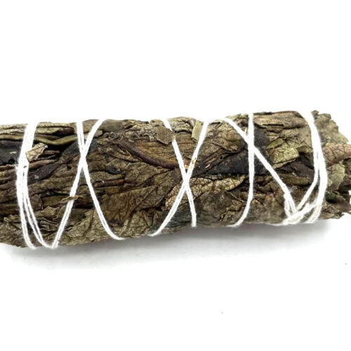 čierna_šalvia