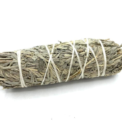 modrá šalvia